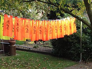 IMG-0472
